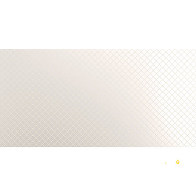 VECTORA GLOSSY 24X47 - 2