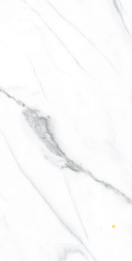 AGL CARRARA POLISHED 12" X 24"