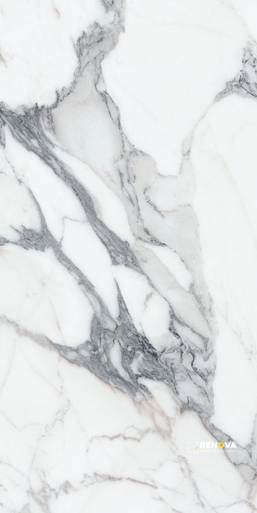 ORIGINES ARGENT MATTE 24" X 48" - 10