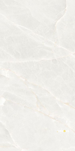 BRASILIA WHITE MATTE 12" X 24" - 2