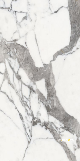 ORIGINES OR MATTE 24" X 48" - 10