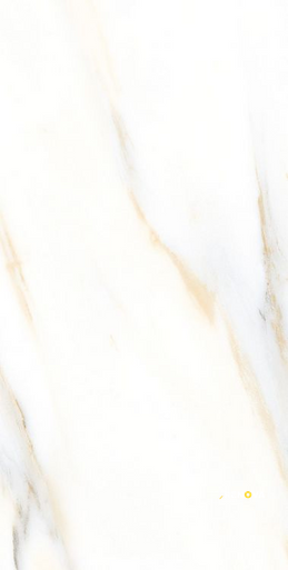 AGL CALACATTA GOLD MATTE 24" X 48" - ELYTIL2554