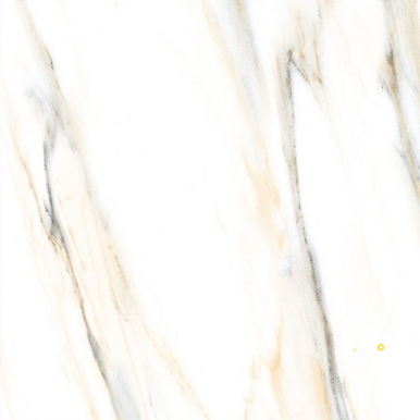AGL CALACATTA GOLD POLISHED 24" X 24" - ELYTIL2563
