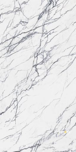 INDULGE POLISHED 24" X 48" - 5