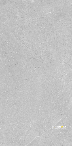 MADISON ARGENT 12" X 24" - 2