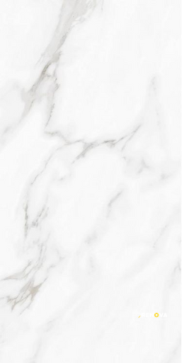 CARENZA BIANCA POLISHED 12" X 24" - 4