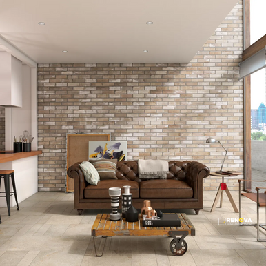 SPECIALTY BRICK 2-7/8" X 9-3/4" - 5