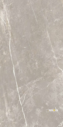 DOLOMIA GREY LUCIDO 24" X 48" - ELYTIL1548 - 4