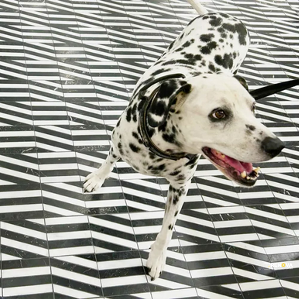 NOIR/BLANC HONED ZIGZAG MOSAIC - 2