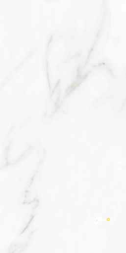 CARENZA BIANCA POLISHED 12" X 24" - 8