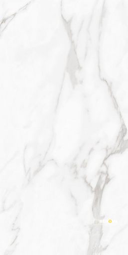 CARENZA BIANCA POLISHED 24" X 48"