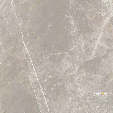 DOLOMIA GREY NATURAL 24" X 24" - ELYTIL1550