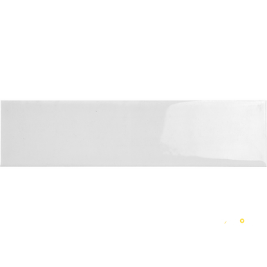 TRIVENI GLOSSY 2X8