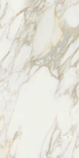 ETOILE CREME MATTE 24" X 48" - 2