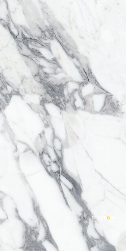 ORIGINES ARGENT MATTE 24" X 48" - 7