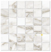 VIENNA POLISHED MOSAIC 2X2 - 2