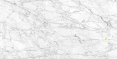 VIENNA POLISHED 24X48 - 2