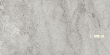 VIENNA POLISHED 12X24 - 2